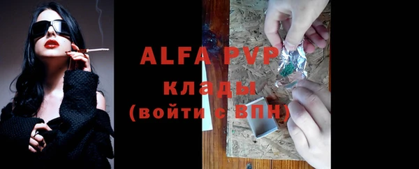 бошки Белокуриха