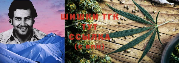 сатива Белоозёрский