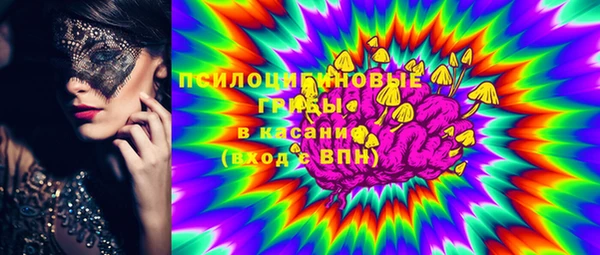 бошки Белокуриха