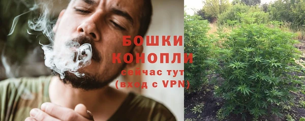 бошки Белокуриха