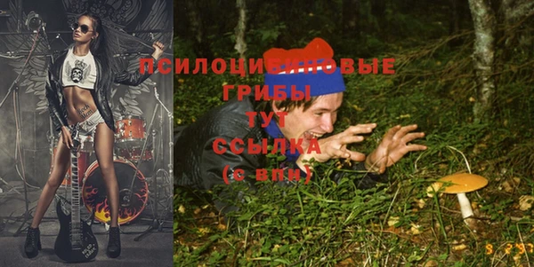 сатива Белоозёрский